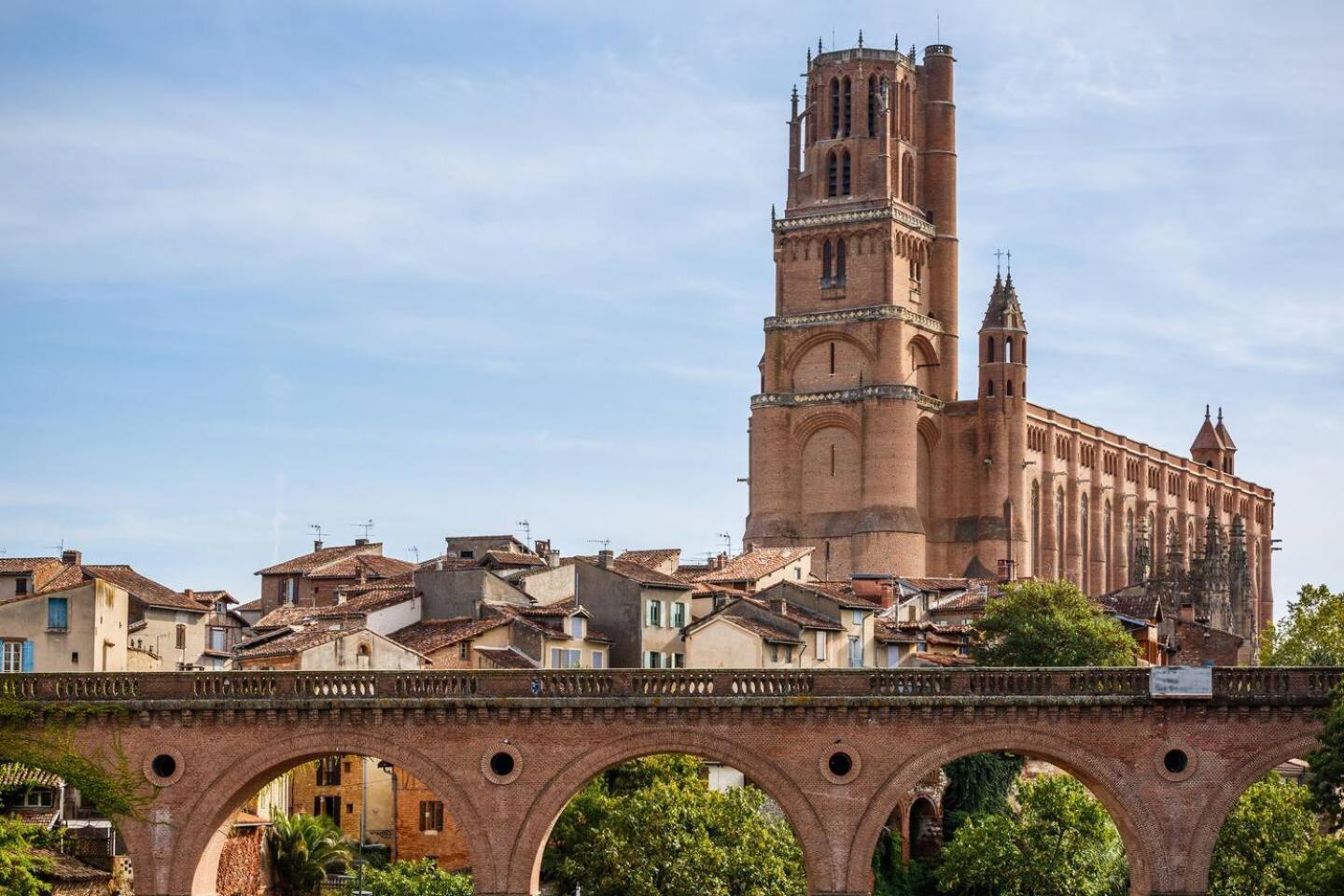 Appartement Albi Parking Gratuit Bagian luar foto